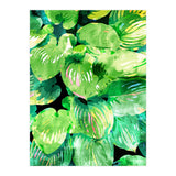 Colors Of The Jungle (Print Only) thumbnail