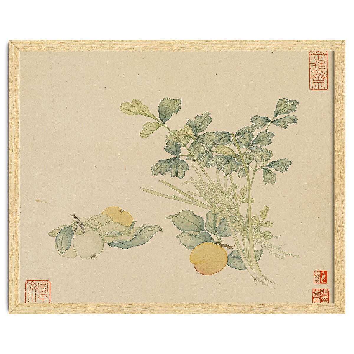 Wang Chengyu~flowers And Vegetables, Vegetables, Fruits, Plums, Apricots, Celery
