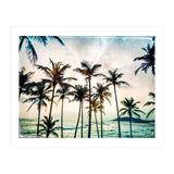 No Palm Trees (Print Only) thumbnail