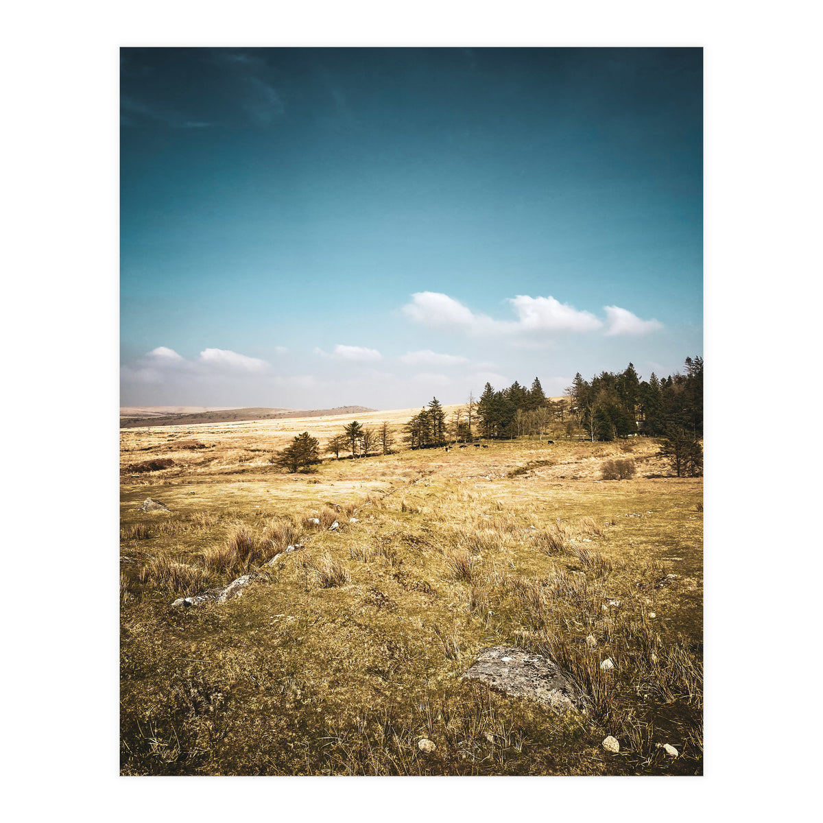 Dartmoor  (Print Only)