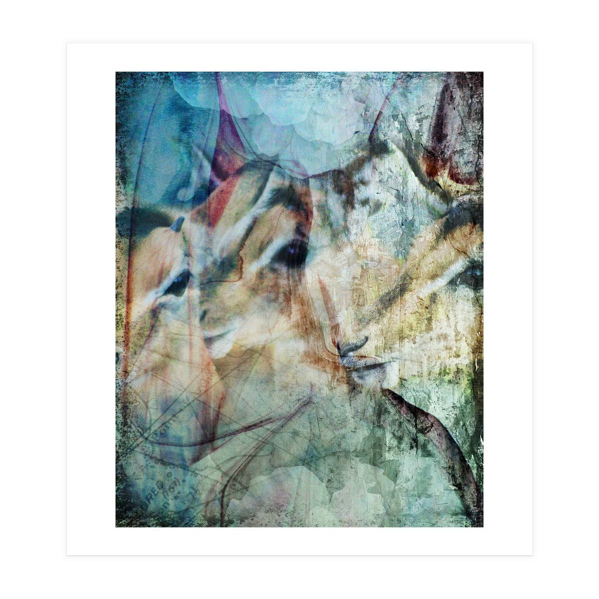 Three Deer (Print Only)