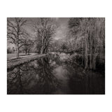 Bute Park, Cardiff  (Print Only) thumbnail
