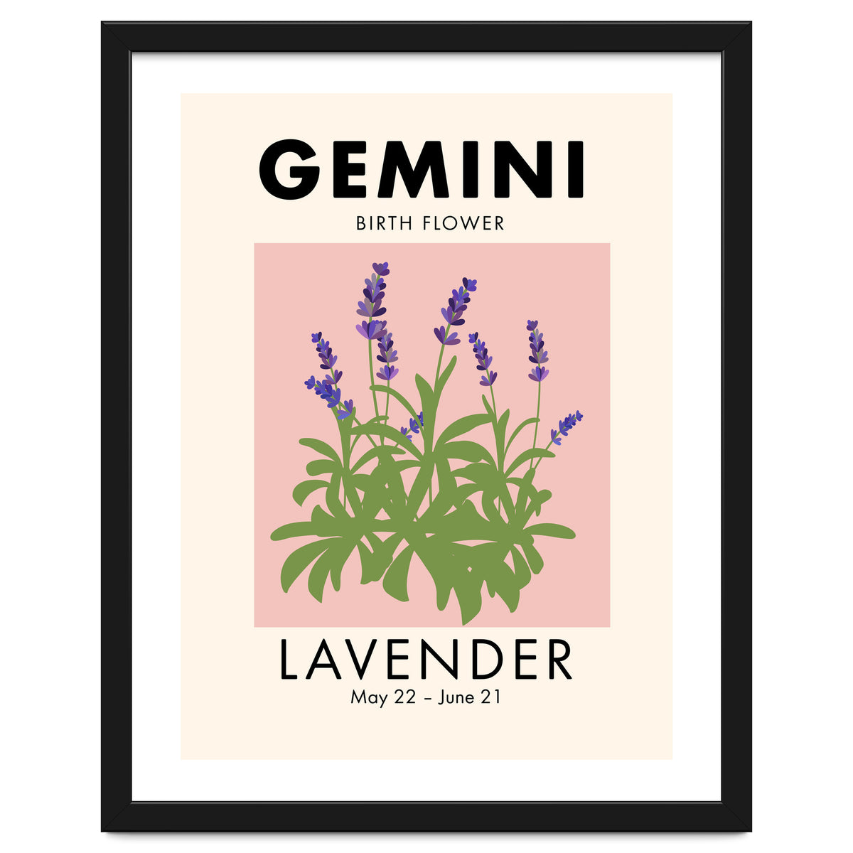 Gemini Birth Flower Lavender