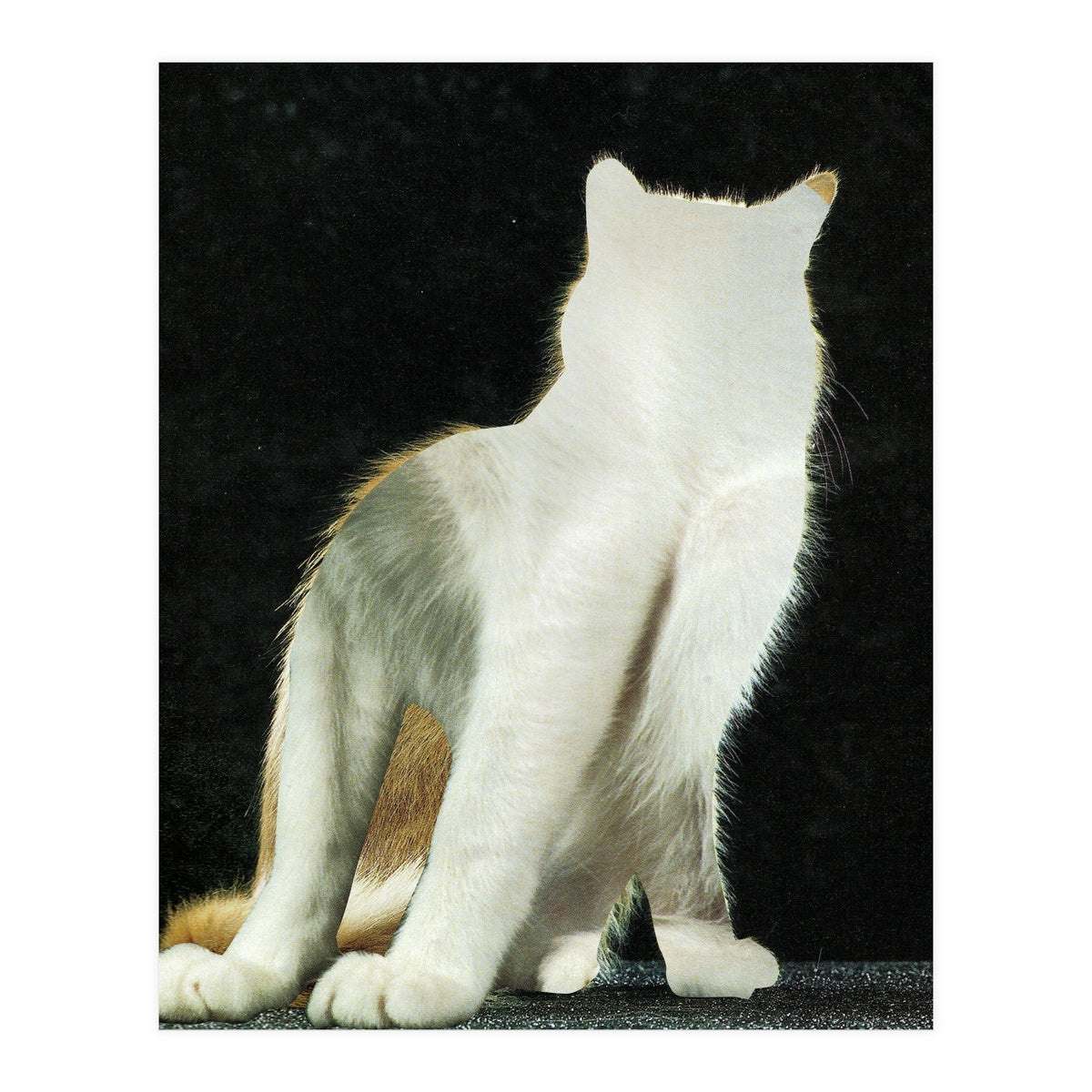 KatzenJammer 11 (Print Only)