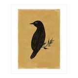 Black Bird (Print Only) thumbnail