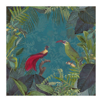 Birds Of Paradise (Print Only)