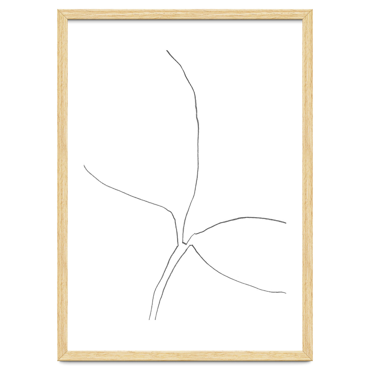 Seedling Leaning Right