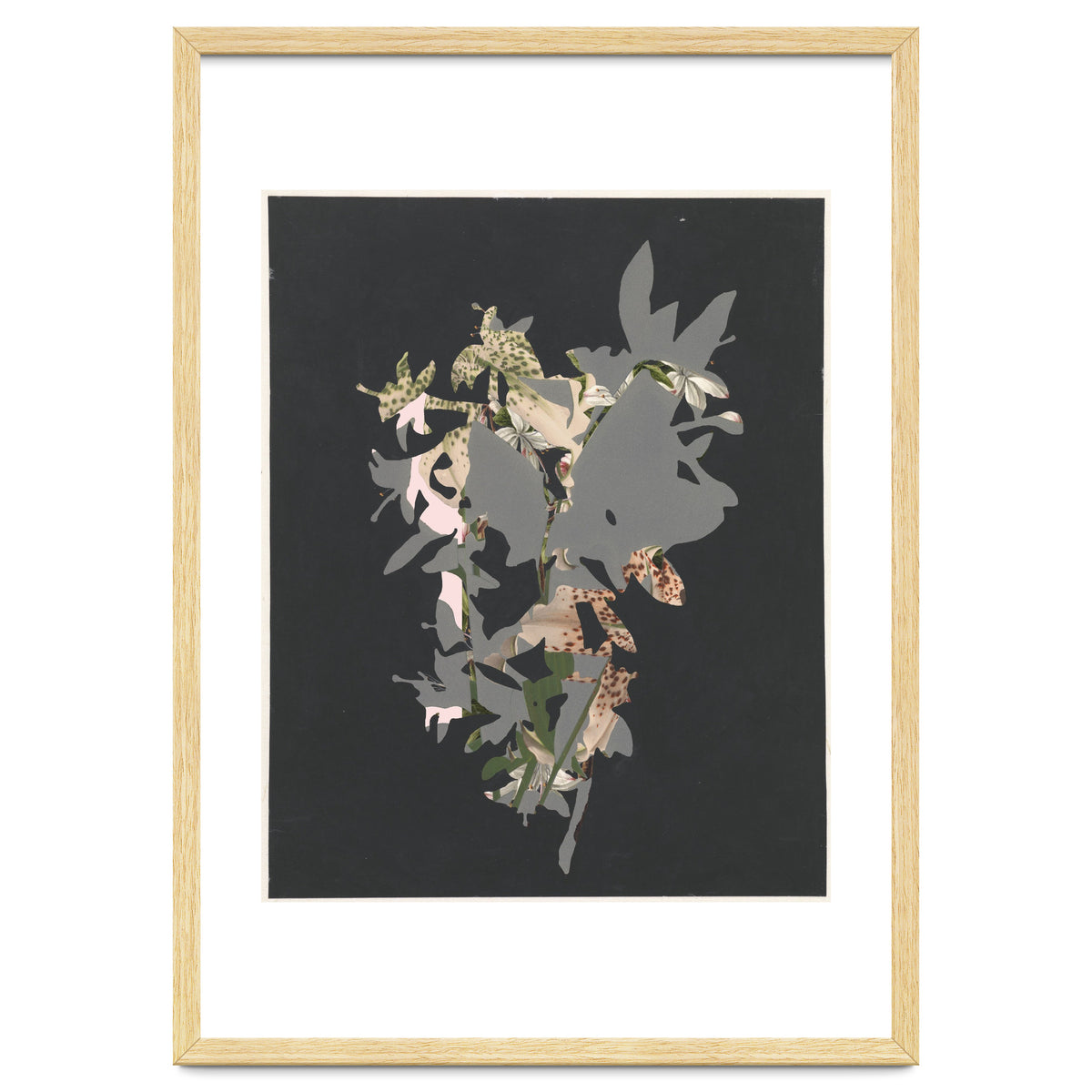 The First Plant · Black