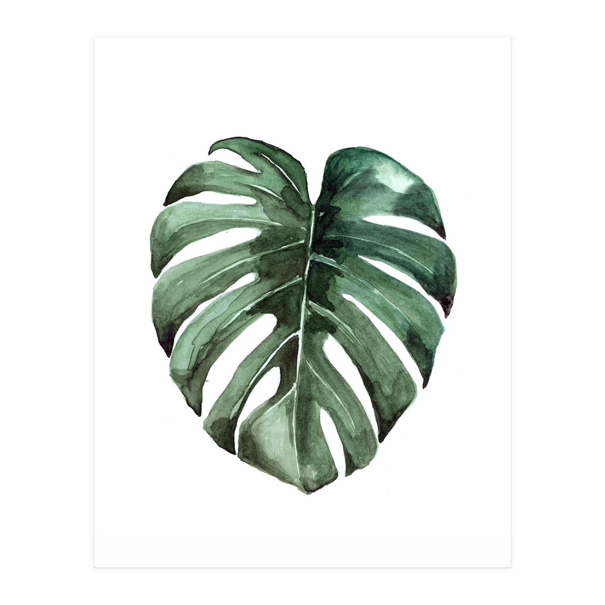 Botanical Illustration Monstera Deliciosa (Print Only)