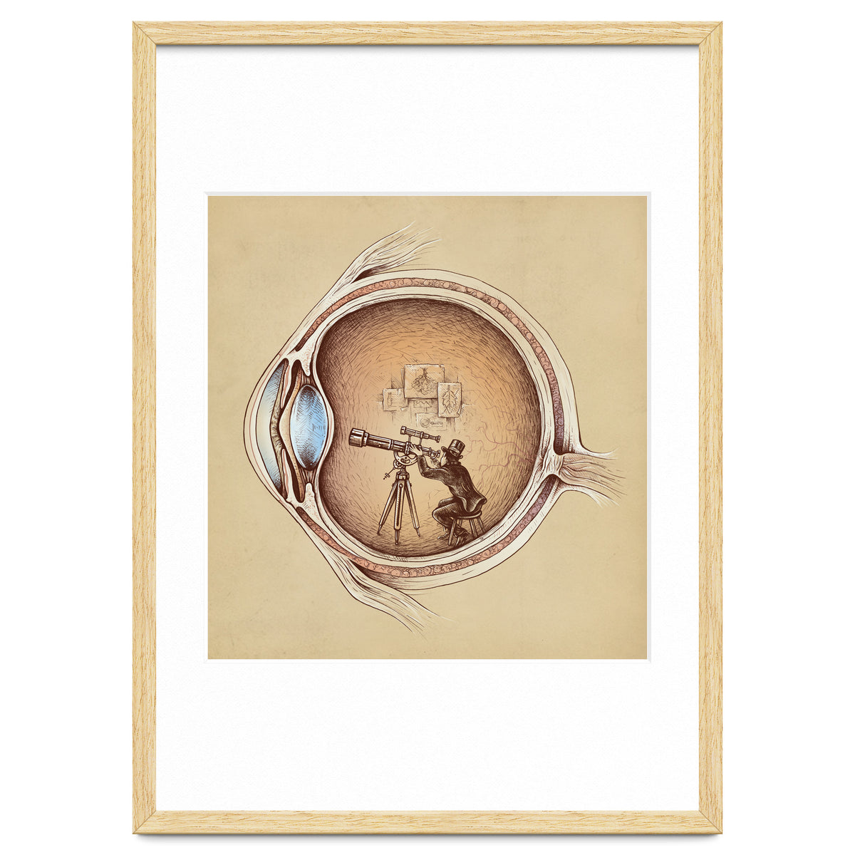 Extraordinary Observer