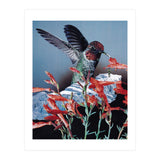 Bird Trainer (Print Only) thumbnail