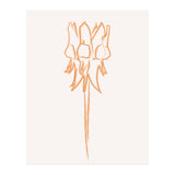 Flower 09 (Print Only) thumbnail