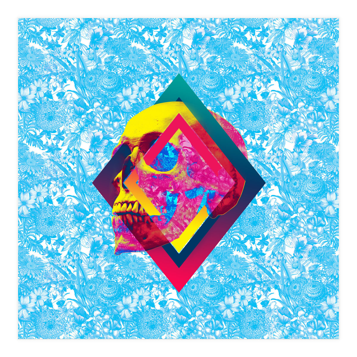 Lifeful Skull  (Print Only)