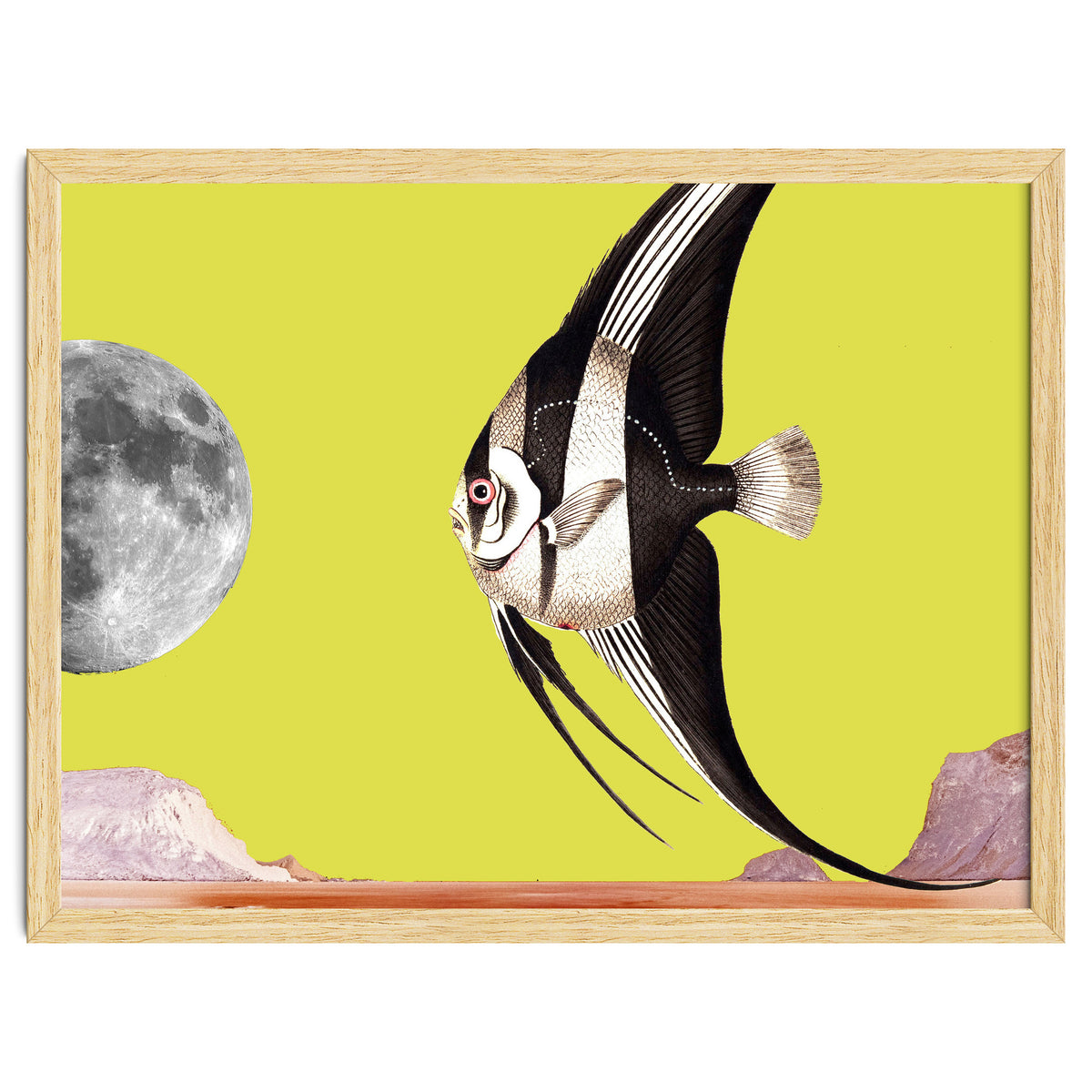 Plenty of fish in the sea yellow