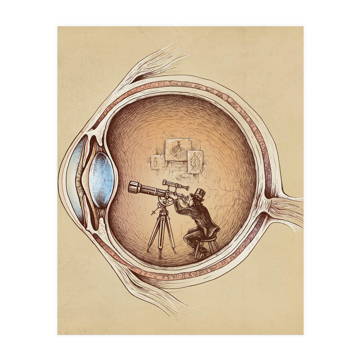 Extraordinary Observer (Print Only)