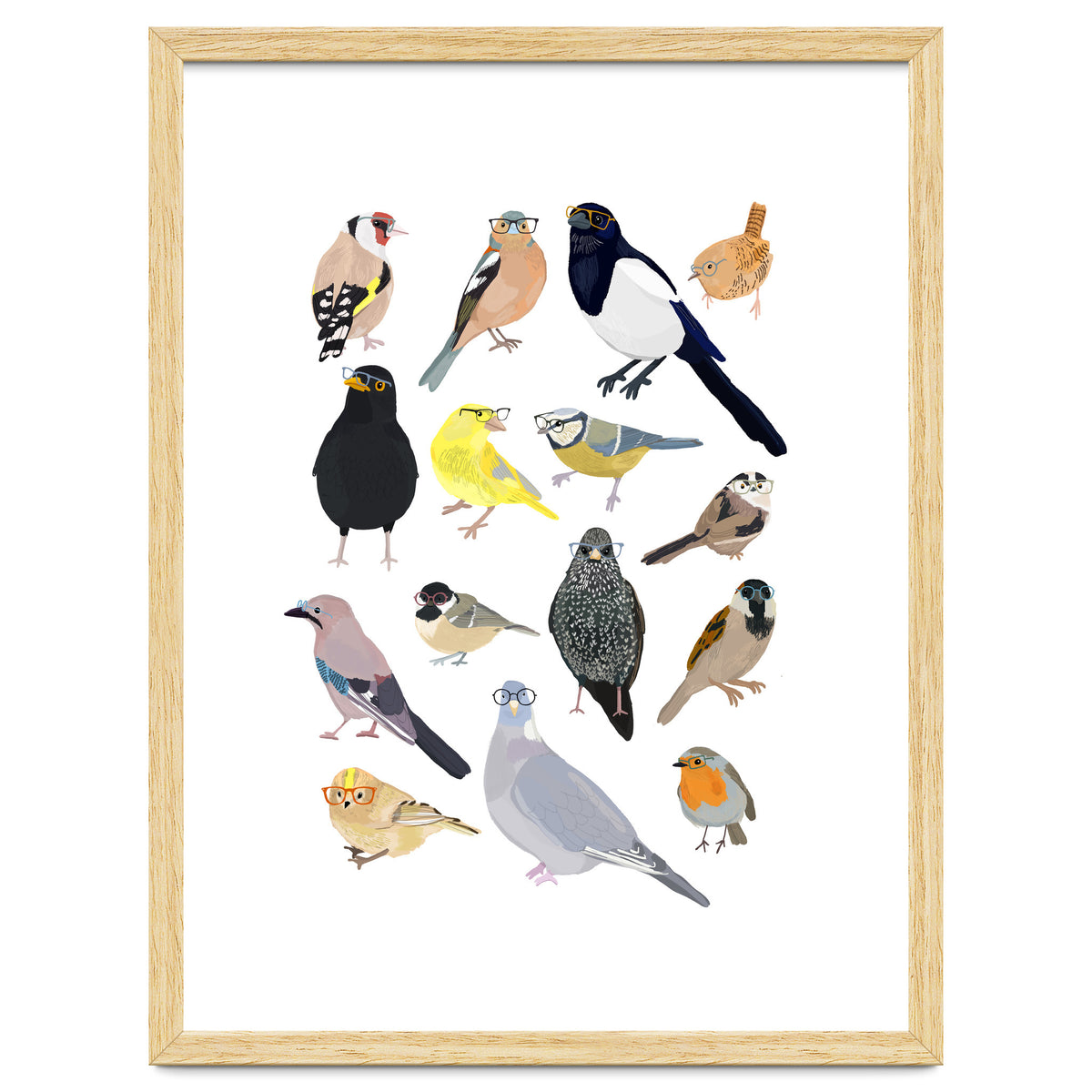 UK Birds in Glasses