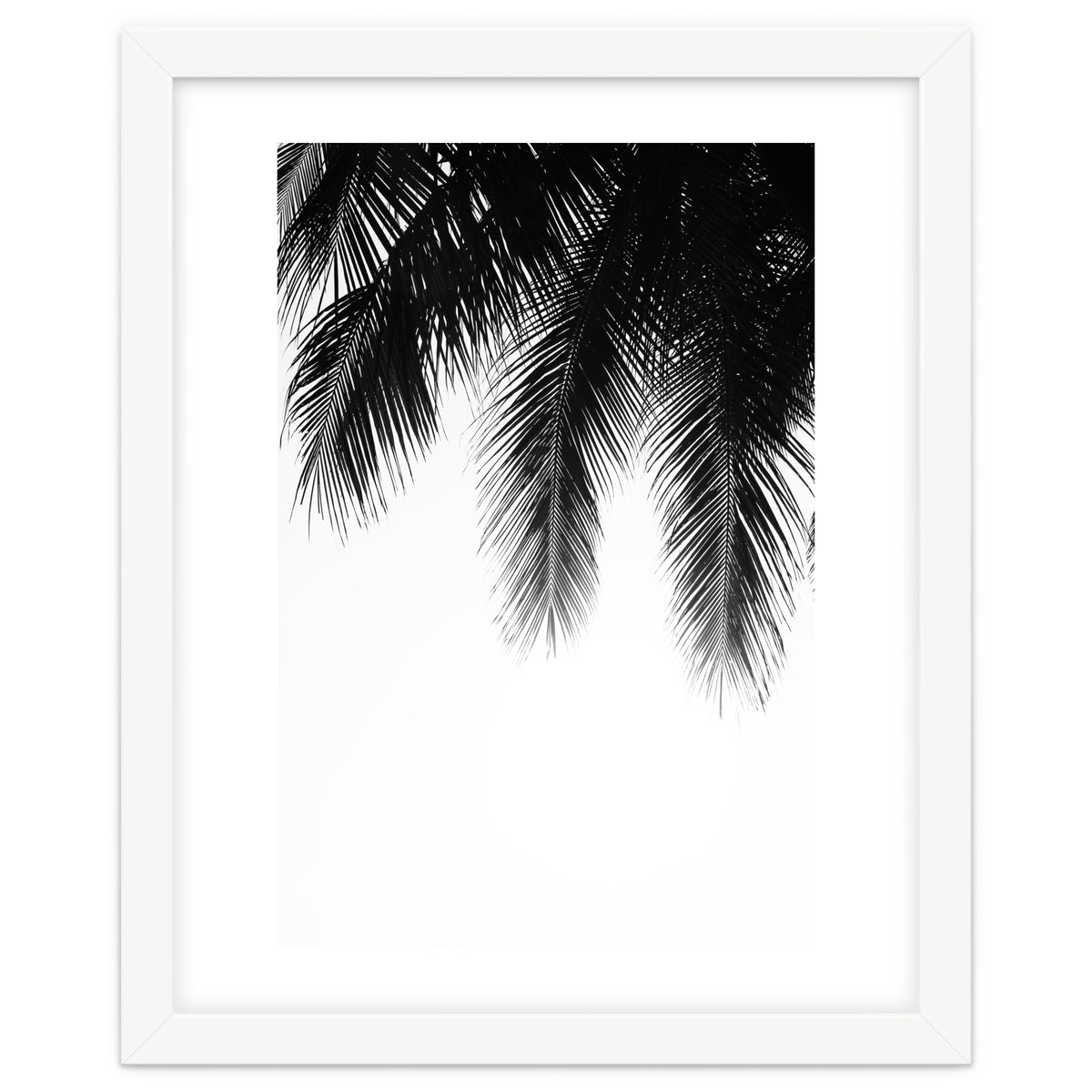 Palm leaves