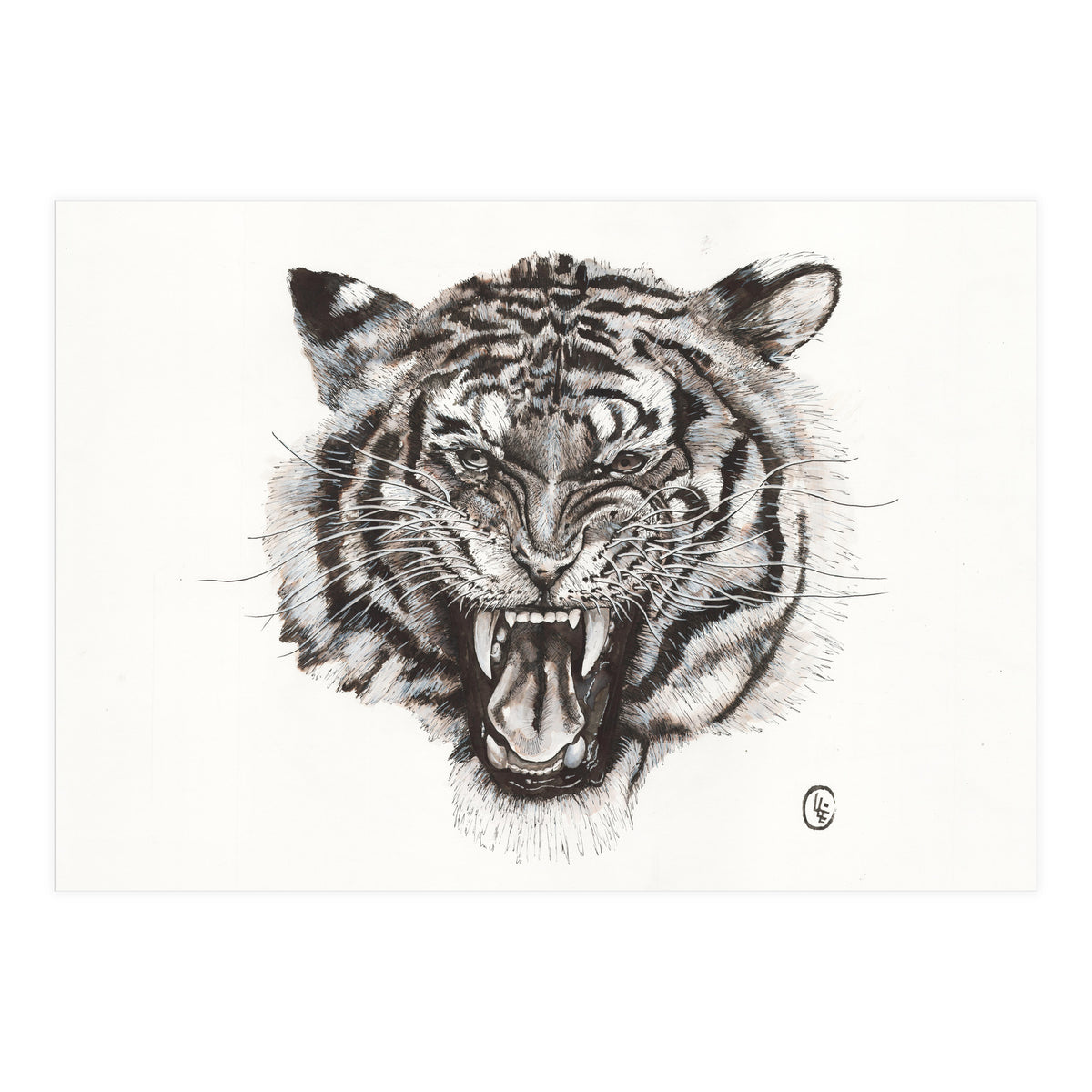Tiger (Print Only)