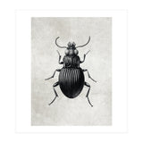 84 (Print Only) thumbnail
