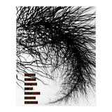 Mad Mind 2 (Print Only) thumbnail