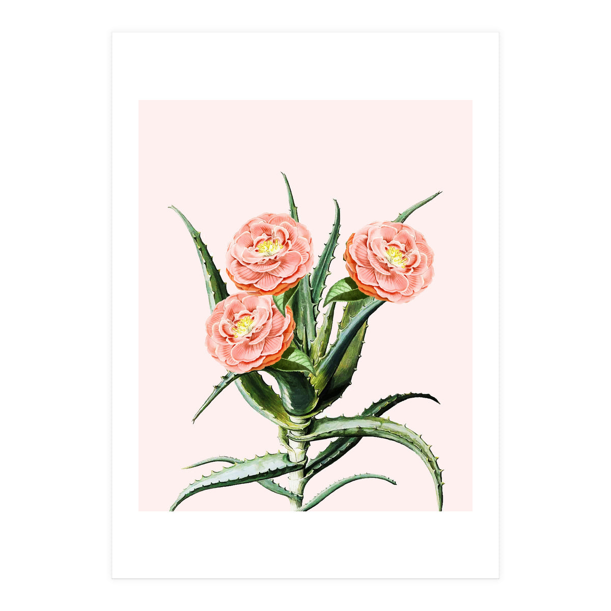 Blush Cactus V2 (Print Only)