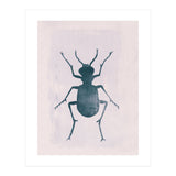 Beetle 1 (Print Only) thumbnail