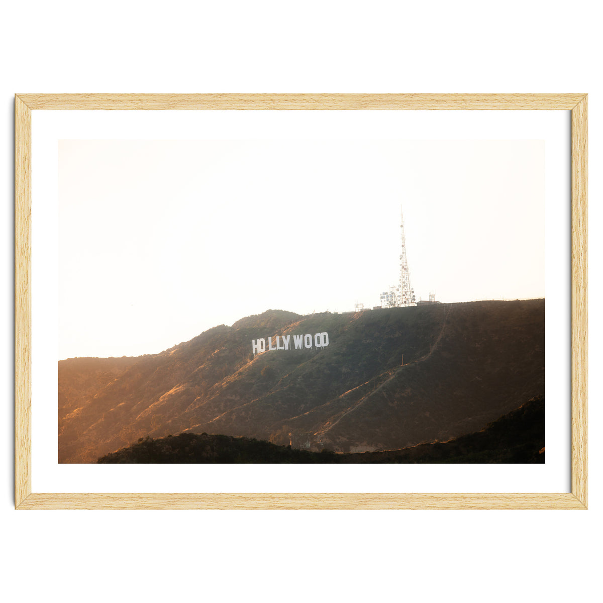 Hollywood Gold x Hollywood Sign California