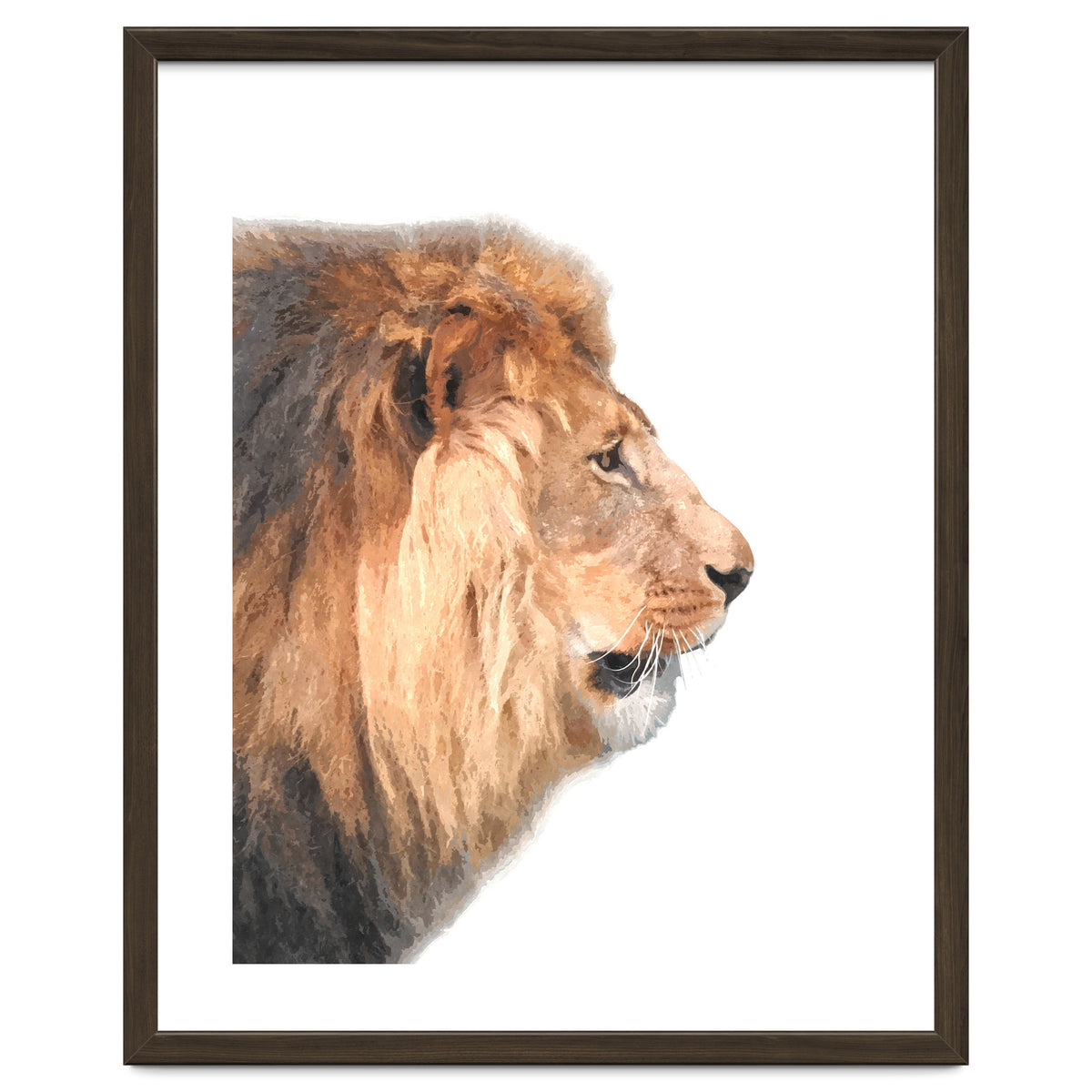 Lion Profile