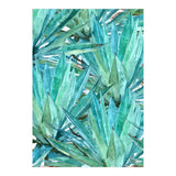 Agave  (Print Only) thumbnail