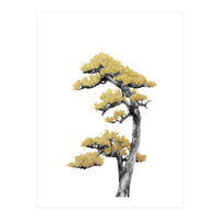Bonsai Tree 04 (Print Only)
