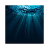 Nature (Print Only) thumbnail