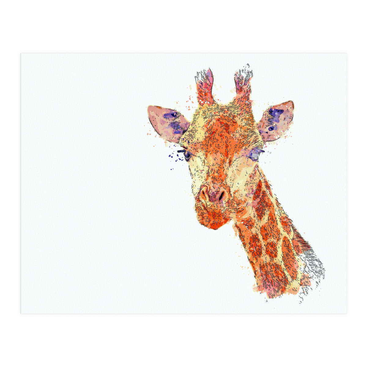 Grayson (Print Only)