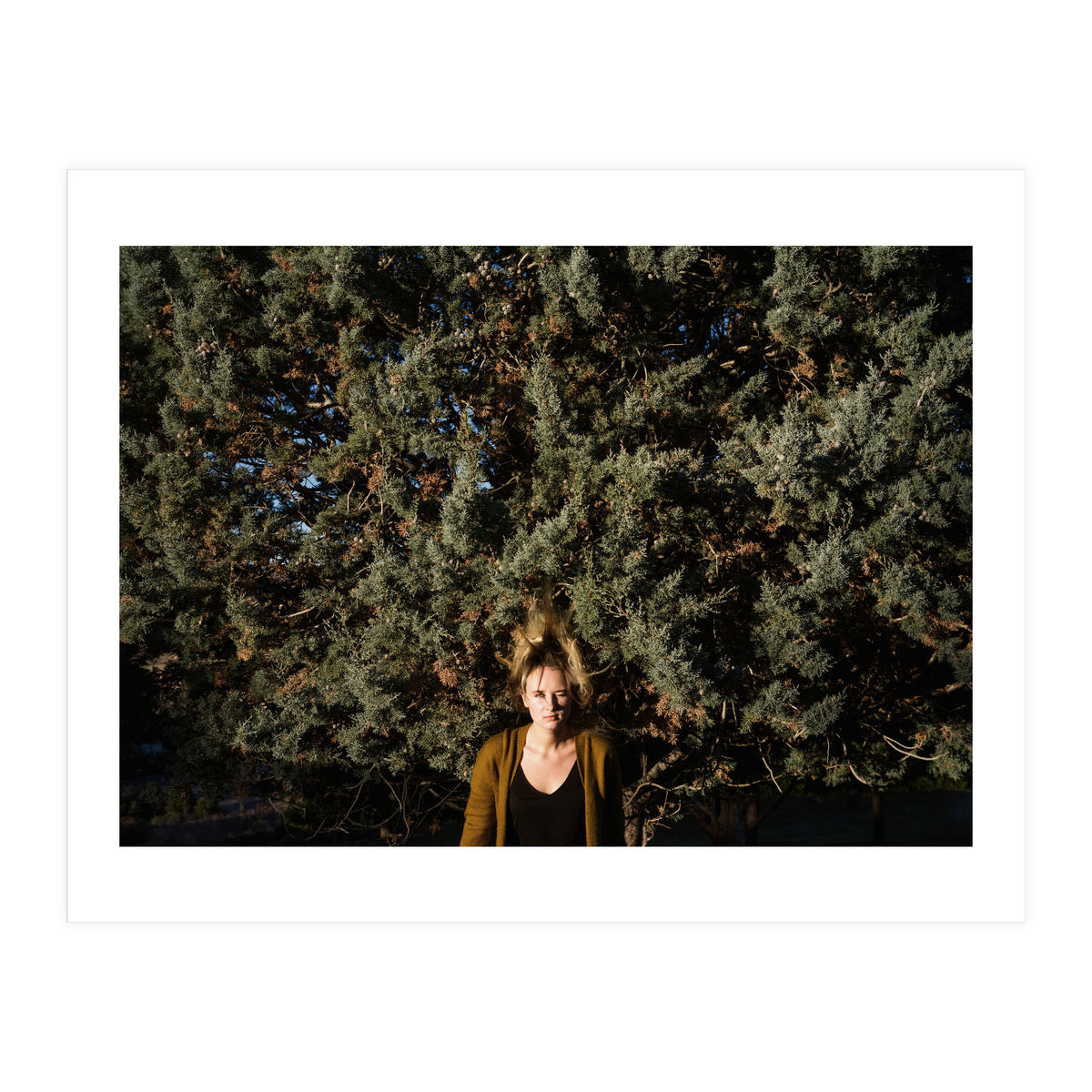 Transition from Summer to Winter (Print Only)