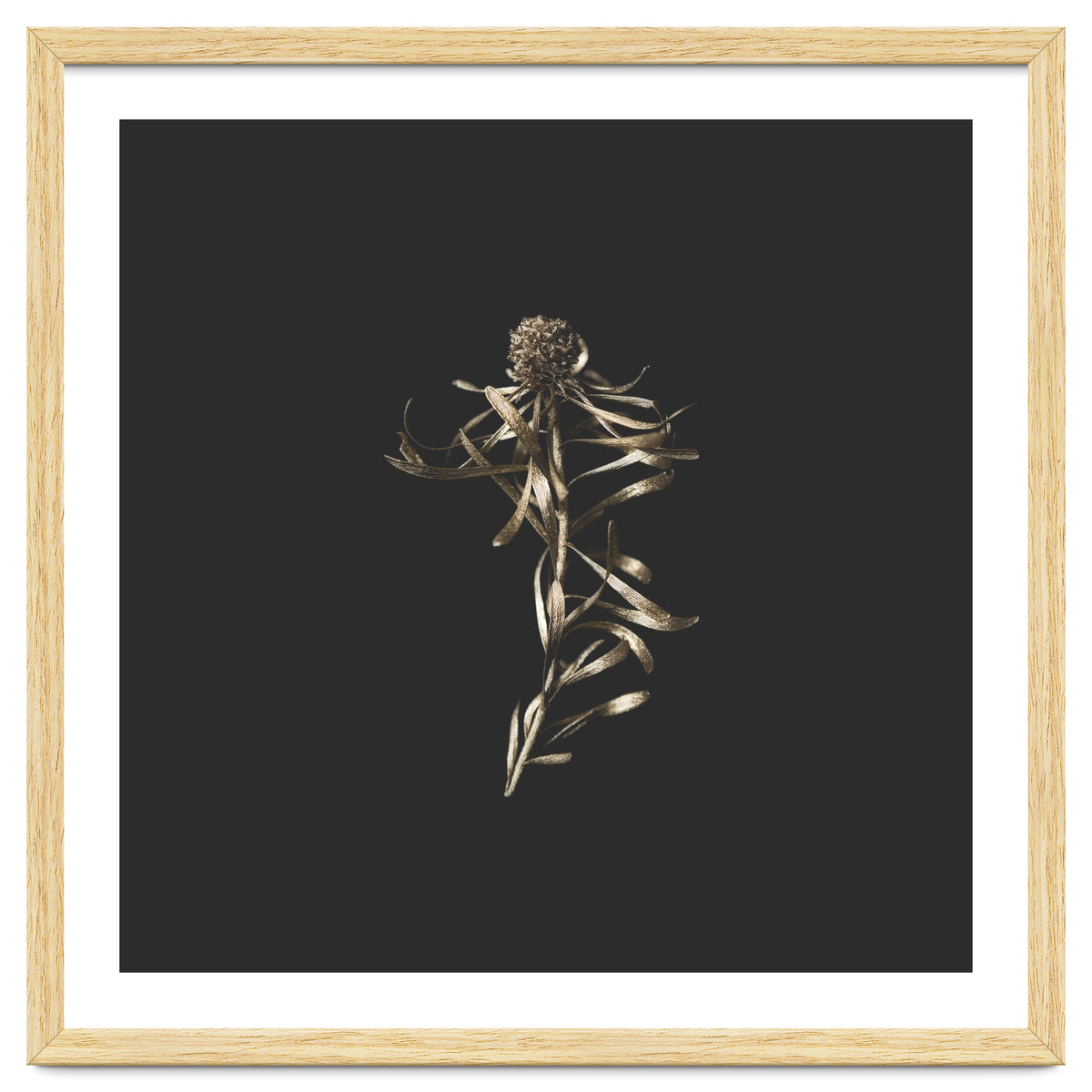 Magical Golden Fynbos - Square