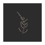 Delicate Golden Fynbos Botanicals on Black - Square (Print Only) thumbnail