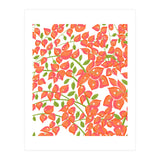 Bougainvillea Blush (Print Only) thumbnail