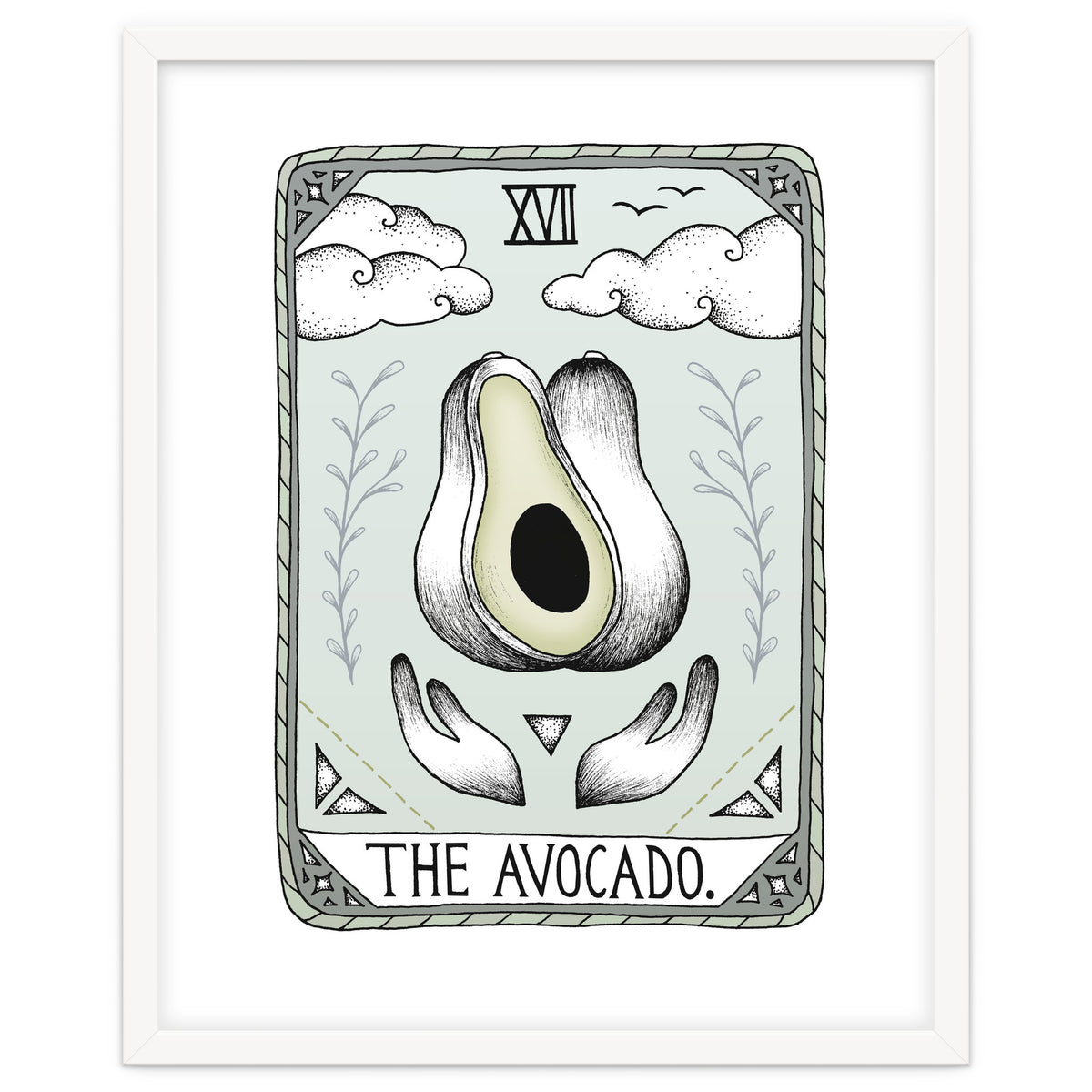 The Avocado