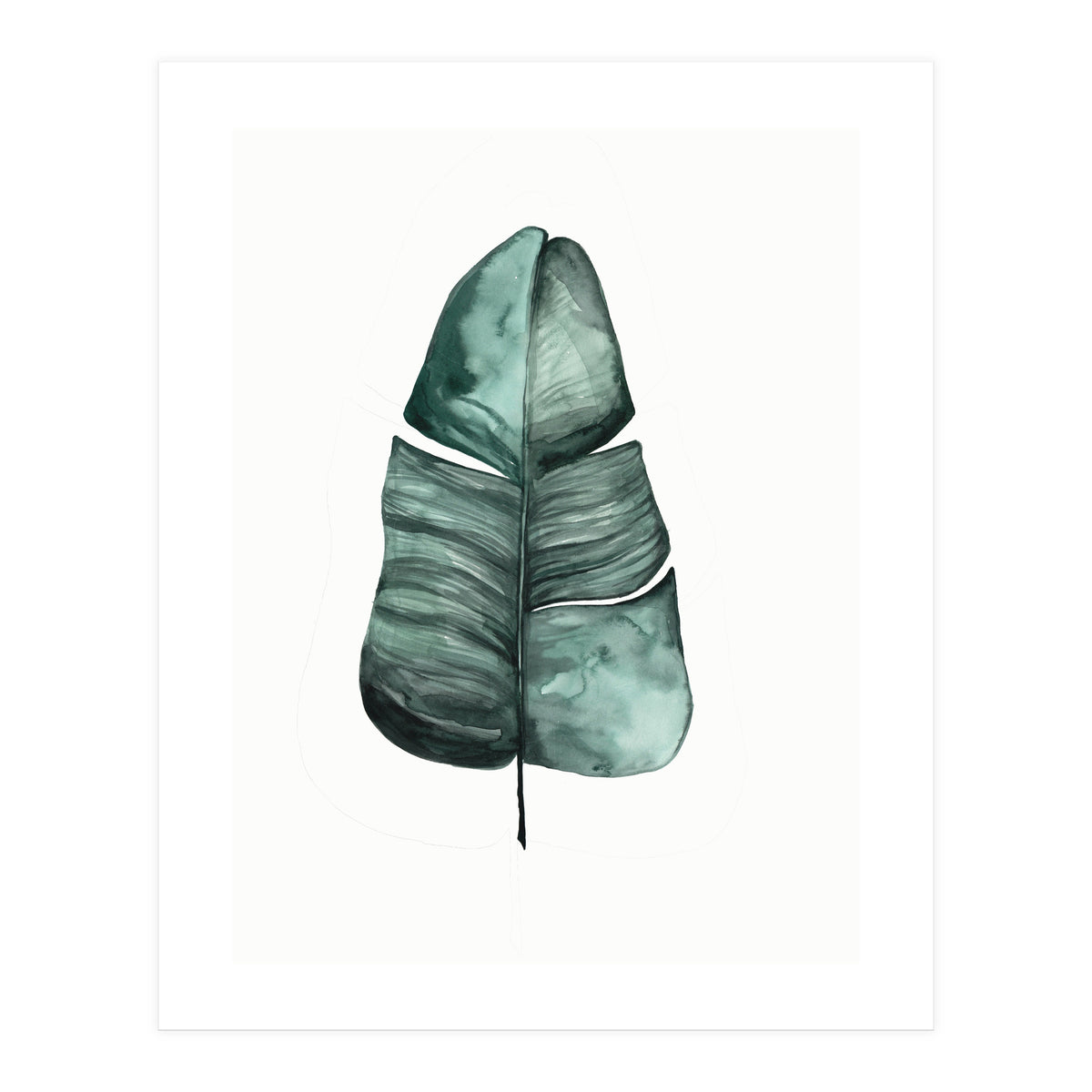Botanical Illustration Banana Leaf (Print Only)