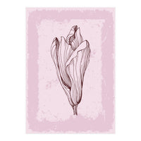 Magnolia Neutral Abstract Botanical (Print Only)