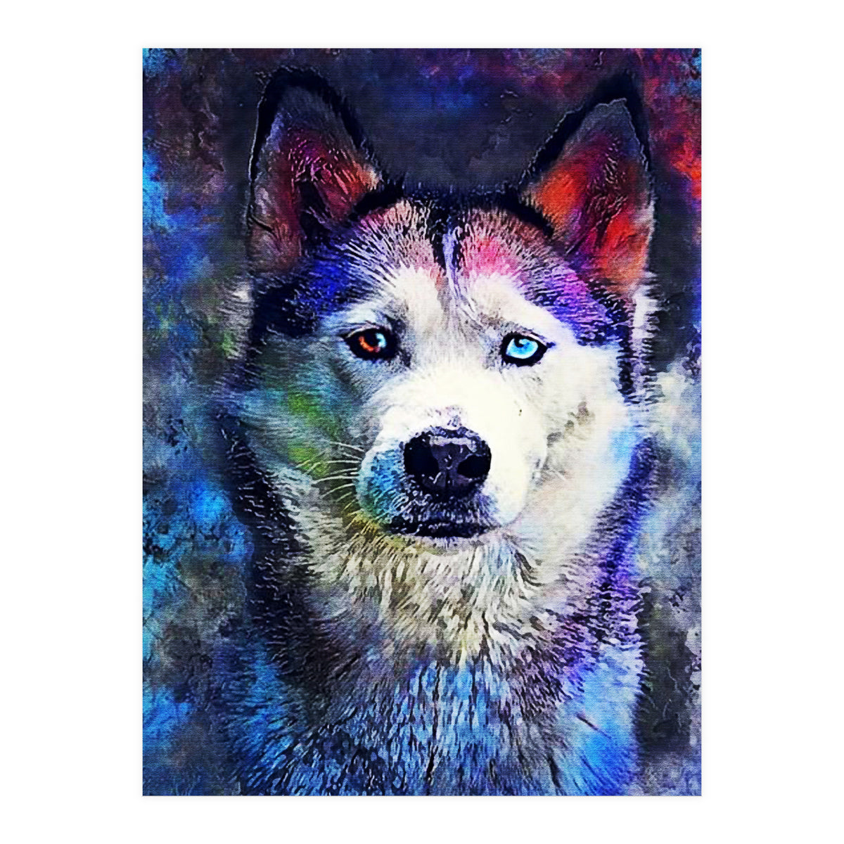 Dog Husky (Print Only)