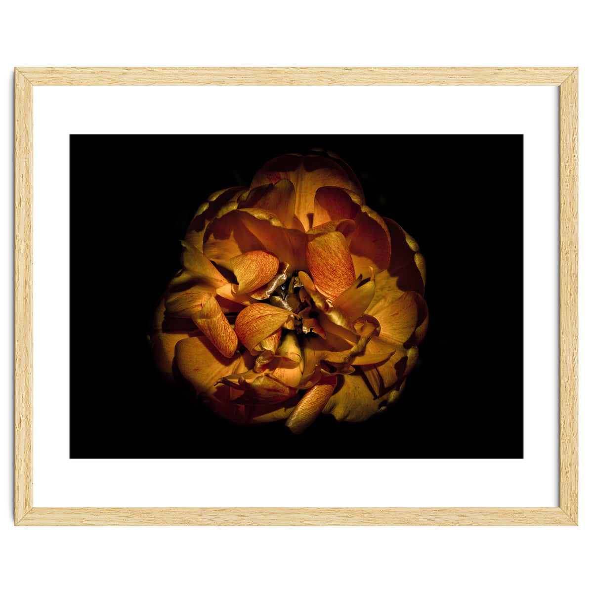 Backyard Flowers No 80 Color Version