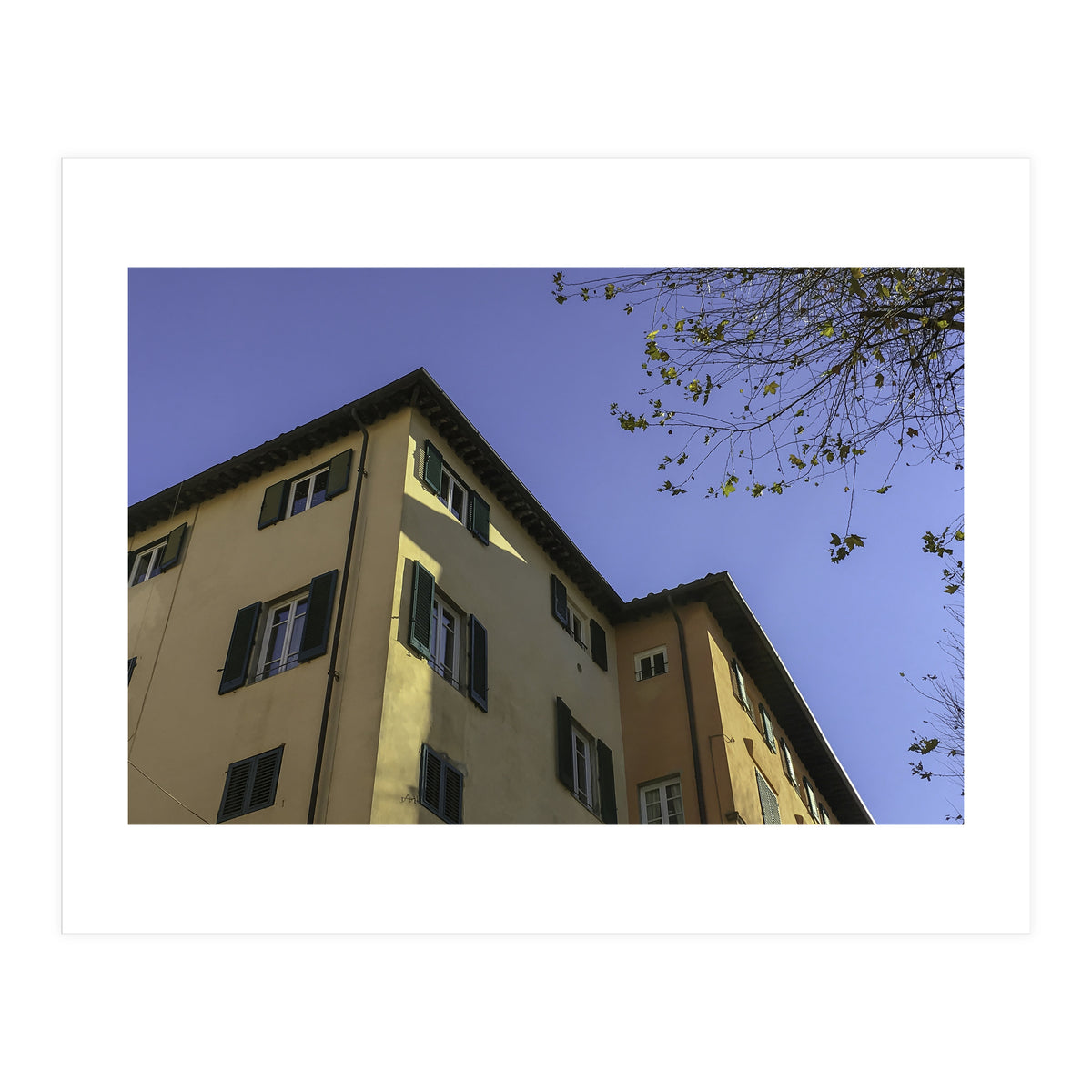 Windows From Tuscany 2 (Print Only)