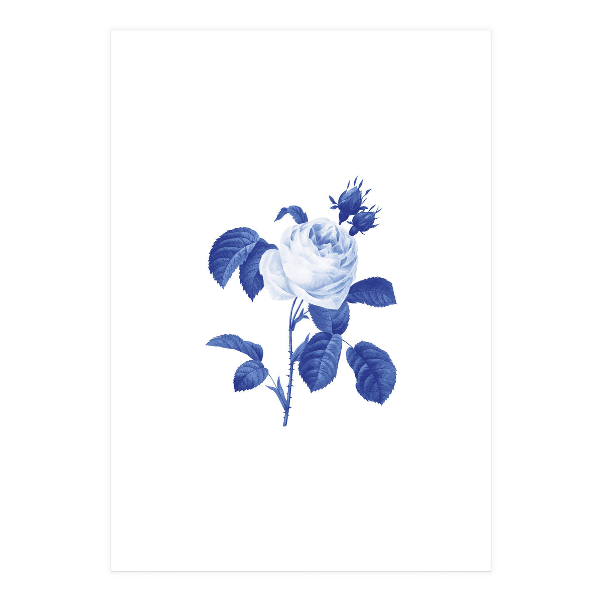 Blue Botanic I (Print Only)