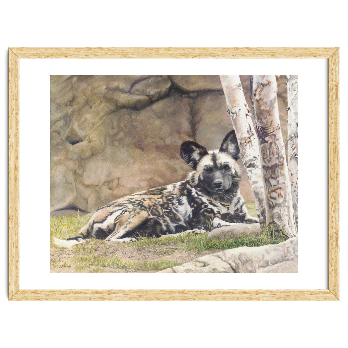 Afican Painted Dog IV - Imara