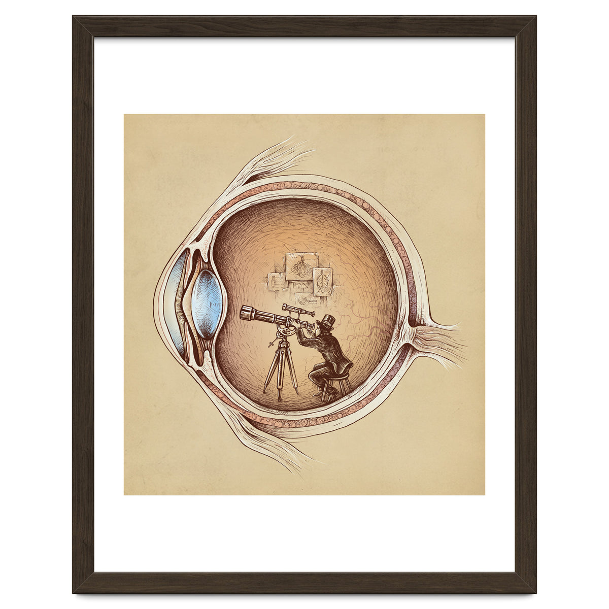 Extraordinary Observer