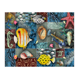 Sea Life Collage (Print Only) thumbnail