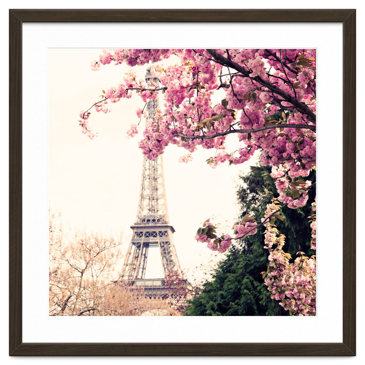 Paris in the Spring