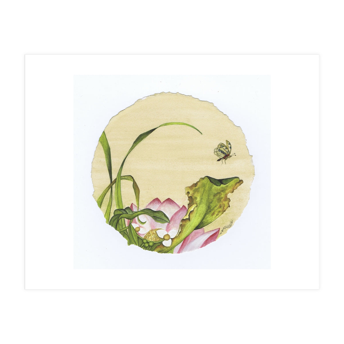 Circle 11 (Print Only)