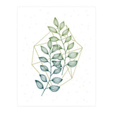 Geometry And Nature III (Print Only) thumbnail