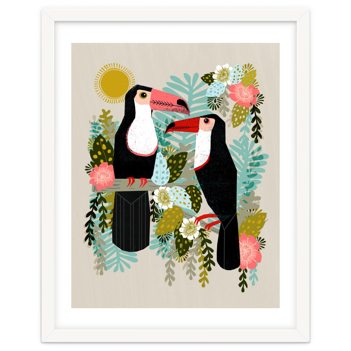 Toucans